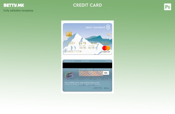 Модерен стил на шаблон за мастер картички на Норвешка Luster Sparebank